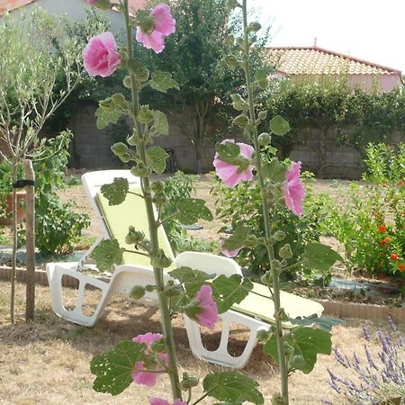Chambre D'Hote Fleur De Potager Les Sables-d'Olonne Luaran gambar