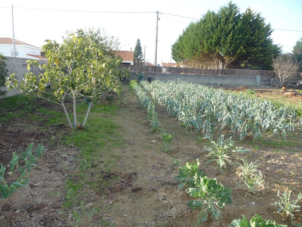 Chambre D'Hote Fleur De Potager Les Sables-d'Olonne Luaran gambar