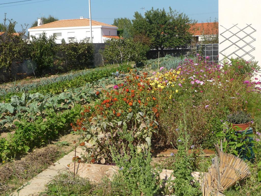 Chambre D'Hote Fleur De Potager Les Sables-d'Olonne Luaran gambar